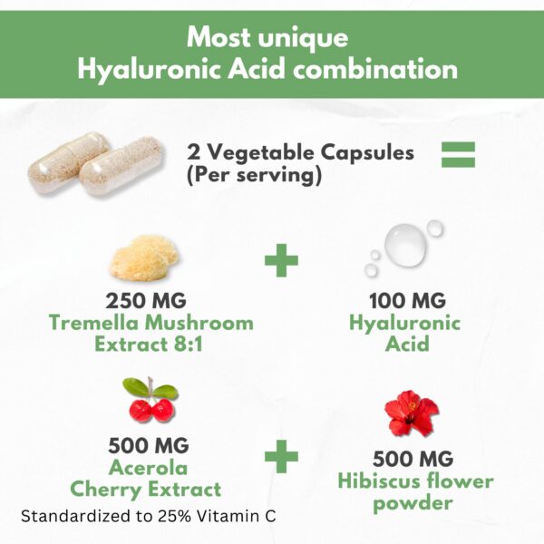 Version 1.0.0 Caja externa del suplemento