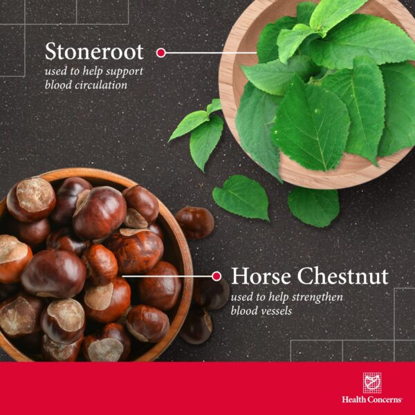 Frasco con 90 cápsulas Health Concerns Formula V para salud vascular