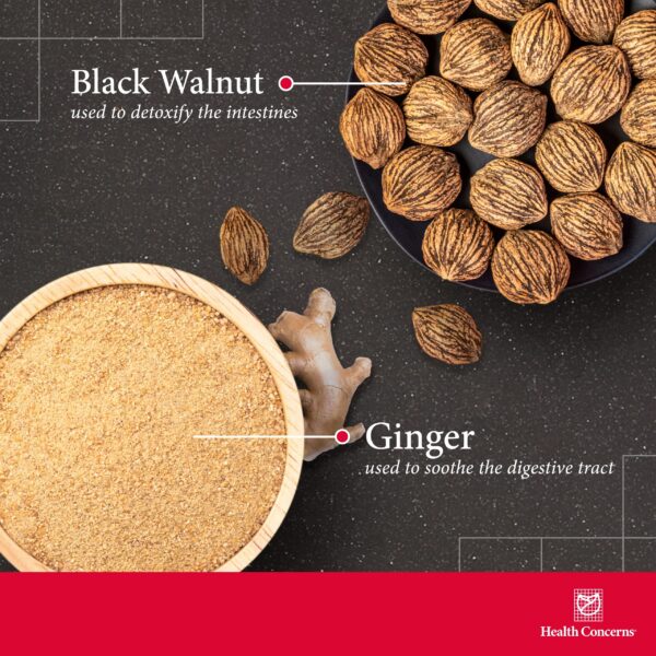 Health Concerns suplemento aloe para digestión y limpieza