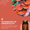 Lado del envase cápsulas Reishi HealthForce SuperFoods