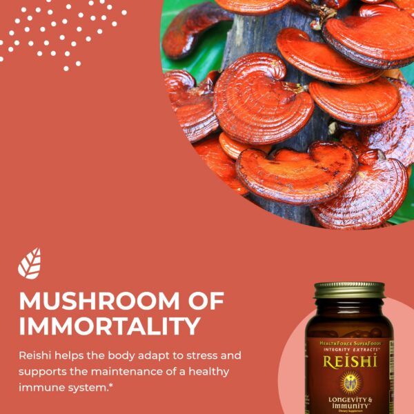 Lado del envase cápsulas Reishi HealthForce SuperFoods