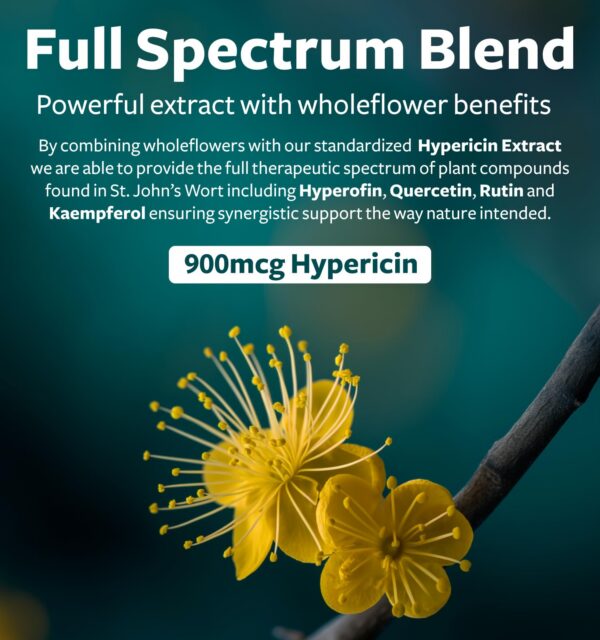 Hierba de San Juan en cápsulas Healths Harmony calidad