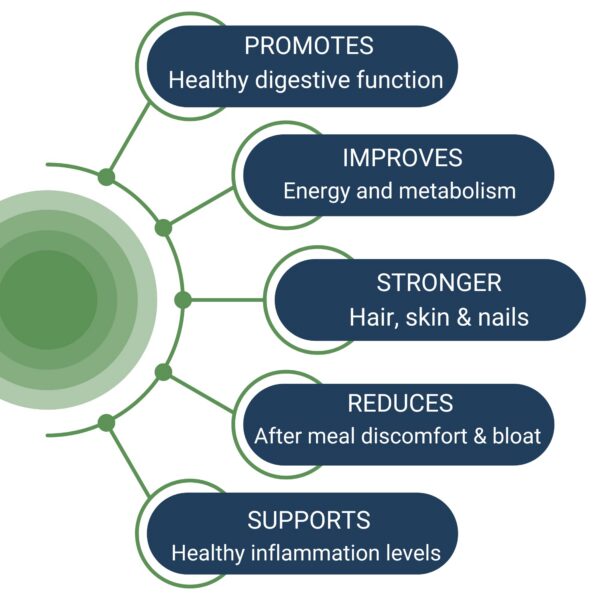 Caja del producto Healthy Gut HCL Guard+