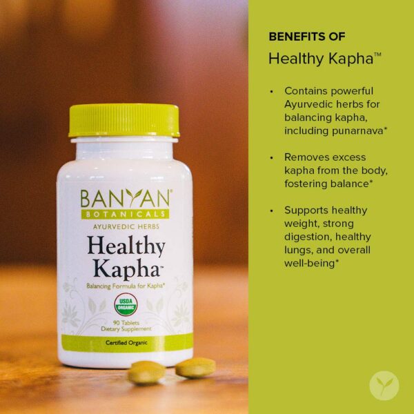 Healthy Kapha tabletas ayurvédicas para digestión