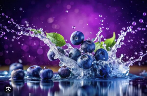 Etiqueta Heaven's Gate Blueberry Extract 10:1