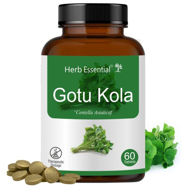 Herb Essential Gotu Kola tabletas orgánicas 500mg paquete