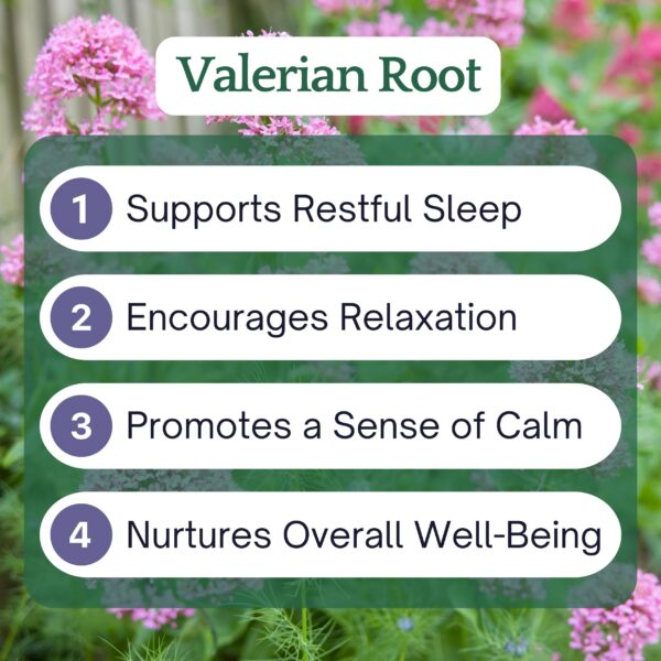 Etiqueta tintura valeriana raíz Herb Lore orgánica