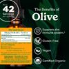 Herb Pharm etiqueta extracto hoja de olivo orgánico