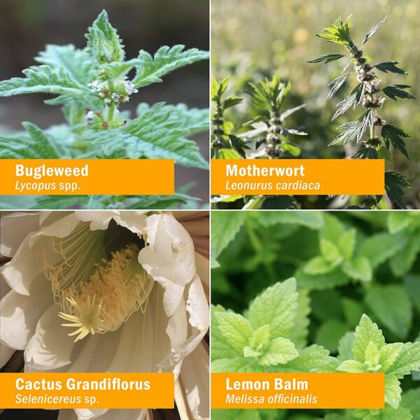 Herb Pharm fórmula líquida apoyo endocrino 1 onza