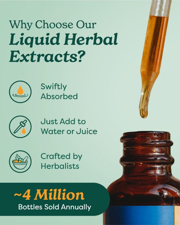 Parte trasera extracto líquido Skullcap Herb Pharm