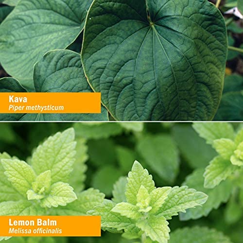 Herb Pharm relajante kava vegano sin gluten