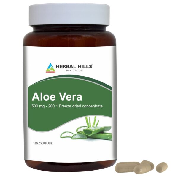 Té Gurmar en polvo y cápsulas Aloe Vera Herbal Hills combo natural