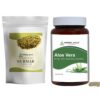 Pack combinado de té Gurmar y cápsulas de Aloe Vera Herbal Hills