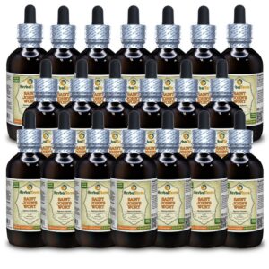 Tintura orgánica Hierba de San Juan Herbal Terra botella