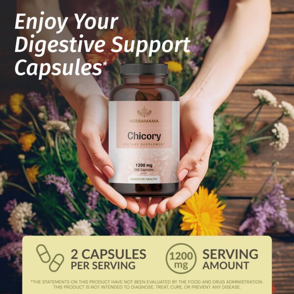 Version 1.0.0 Frasco de cápsulas de raíz de achicoria Herbamama
