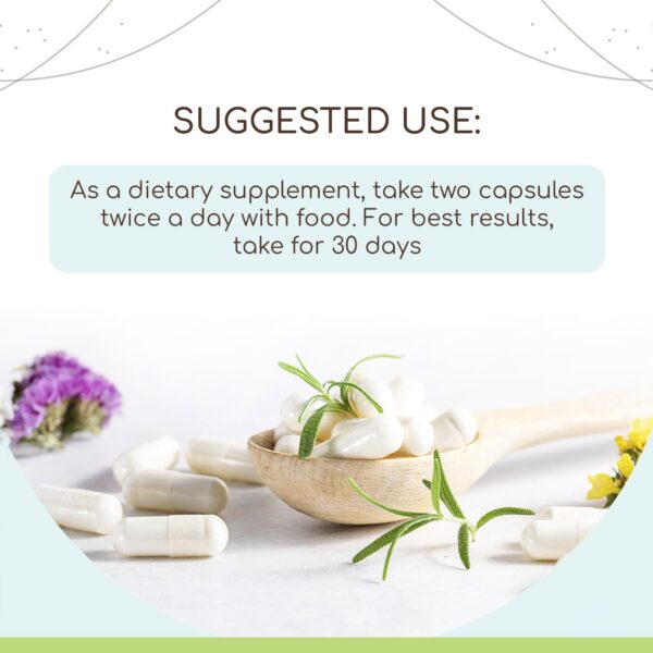 Cápsulas naturales de hisopo en envase