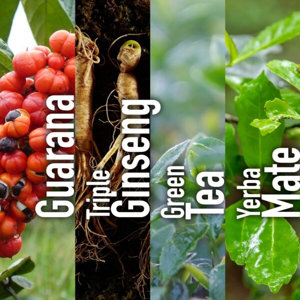 Version 1.0.0 Etiqueta suplemento Hi-EnerG con ingredientes naturales y cafeína