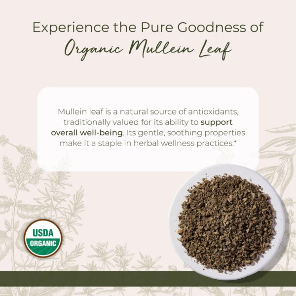 Version 1.0.0 Hierba suelta gordolobo orgánica certificada kosher no ogm