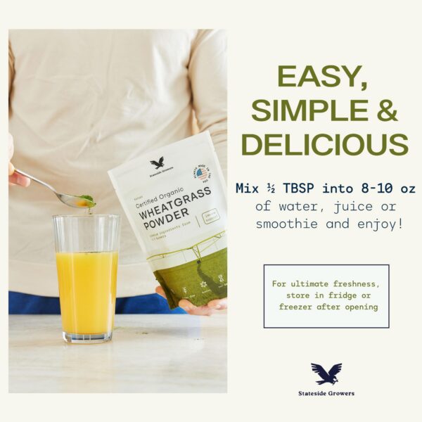 Hierba de trigo orgánica en su forma natural y polvo