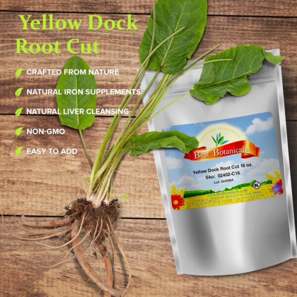 Hierbas frescas de Best Botanicals raíz dock amarillo cortada