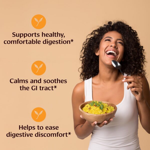 Version 1.0.0 Envase de polvo Hingvastak sin gluten ni OGM