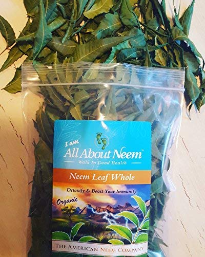 Version 1.0.0 Hojas de neem naturales frescas para té y medicina tradicional