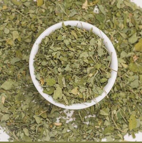 Version 1.0.0 Hojas de Moringa Orgánica nutritivas para uso en té