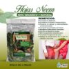 Hojas de neem mexicanas para té herbal saludable