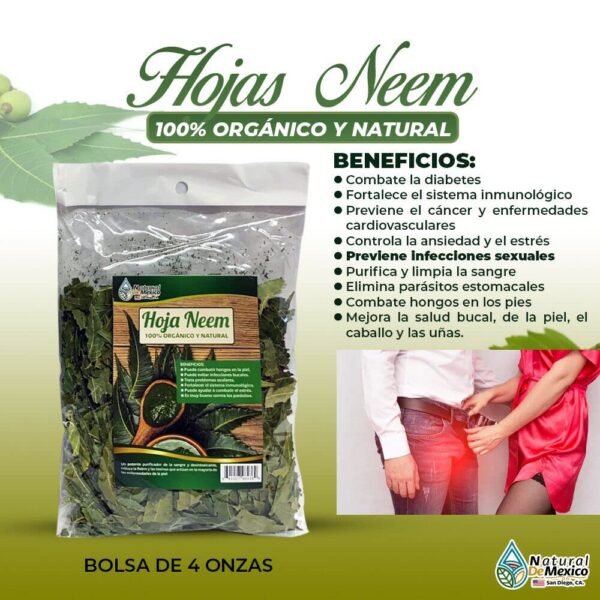 Hojas de neem mexicanas para té herbal saludable