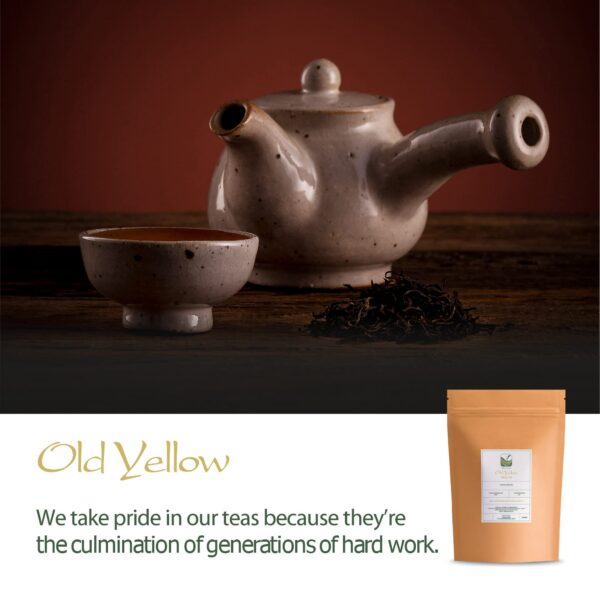 Version 1.0.0 Hojas de té amarillos Huoshan y su aroma dulce