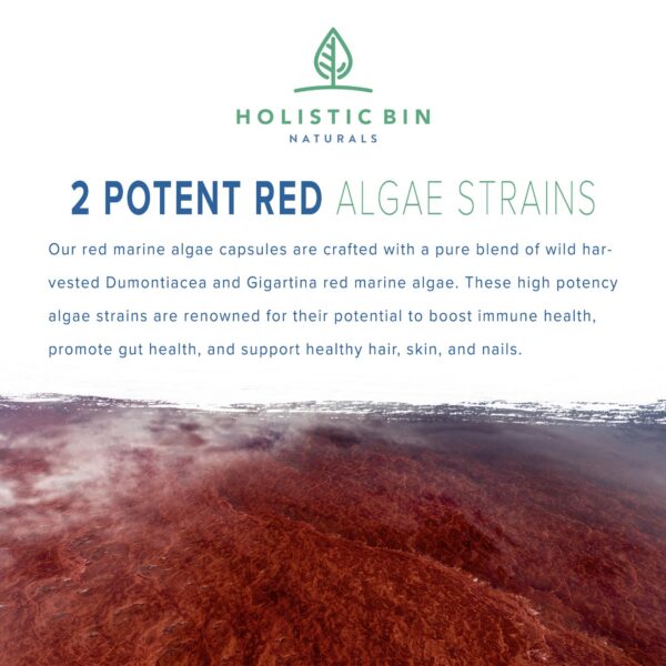 Frasco Holistic Bin con etiqueta algas rojas