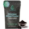 Frente del envase Holistic Bin Shilajit polvo Himalaya