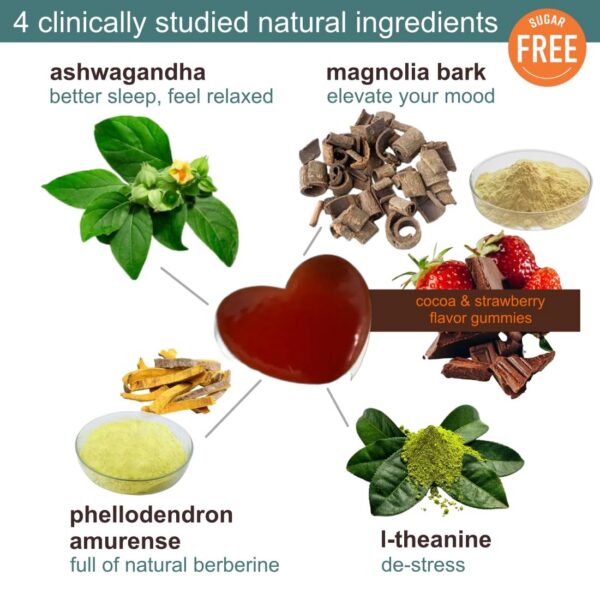 Version 1.0.0 Etiqueta frontal de suplemento Holistic MD