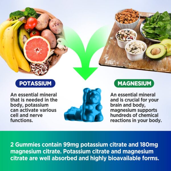 Version 1.0.0 Sabor arándano gomitas HOLLEGEND