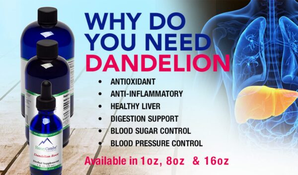 detalle botella extracto raíz diente de león HoneyCombs