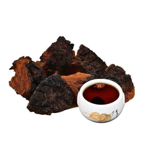 Hongo Chaga seco natural Siberia Pure Premium para suplementos