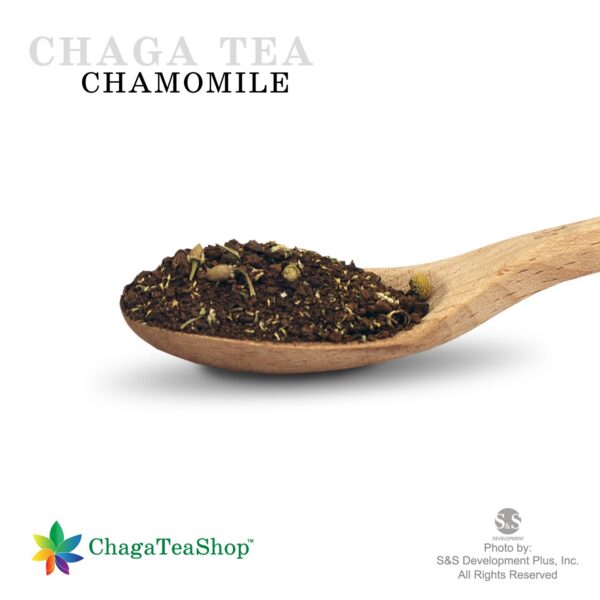 Hongo chaga siberiano con manzanilla para té suelto saludable