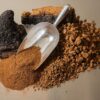 Version 1.0.0 Hongo chaga silvestre para té en trozos 100% natural Chi Chaga
