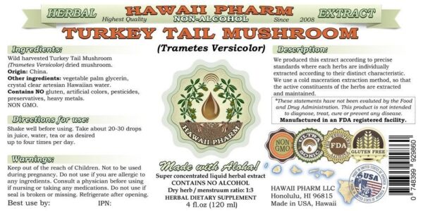 Hongo cola de pavo natural en su entorno