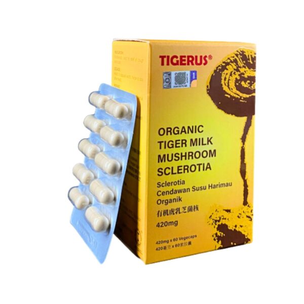 Hongo de Leche de Tigre en vegecap