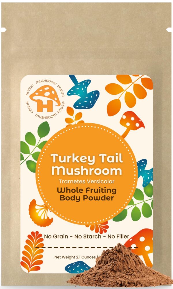 Polvo de hongo cola de pavo Hongo Mushroom Power