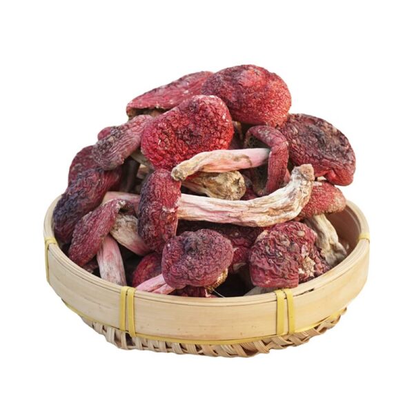 Hongo Russula Rojo Seco en paquete de 100 gramos