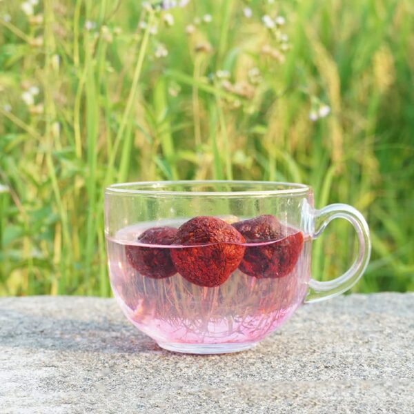 Hongo Russula Rojo Seco listo para cocinar