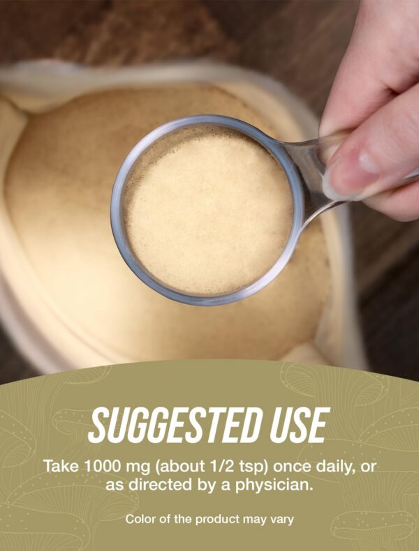 Version 1.0.0 BulkSupplements extracto hongos shiitake vista lateral producto