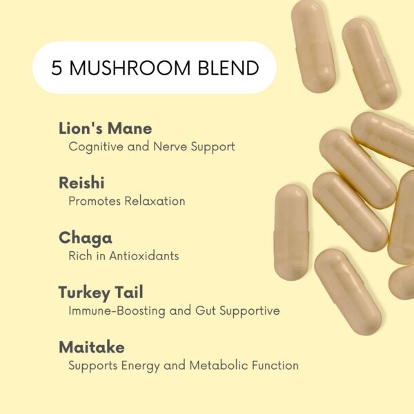 Imagen de hongos melena de león y reishi usados en Mood Mushrooms