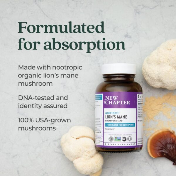 Hongos orgánicos Lion’s Mane y Reishi para soporte cognitivo