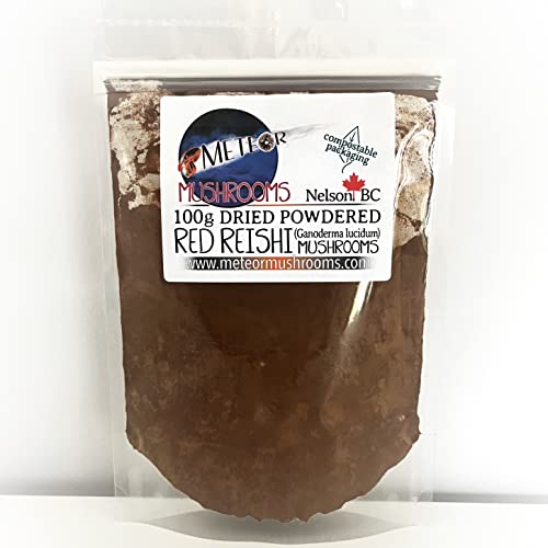 Hongos Reishi en polvo Meteor Mushrooms
