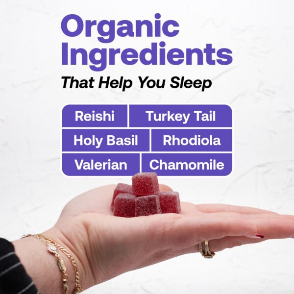 Detalle de Reishi y Turkey Tail en gomitas