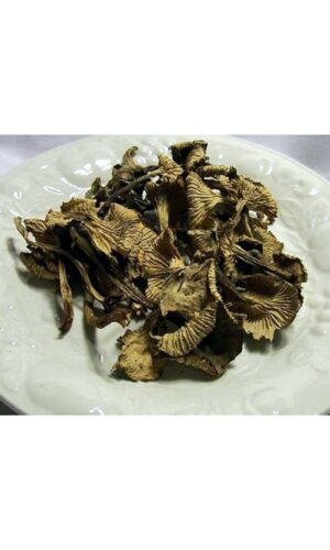 Version 1.0.0 Hongos Secos Pies Amarillos en empaque