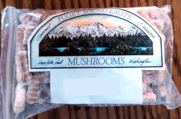 Hongos Shiitake creciendo en troncos